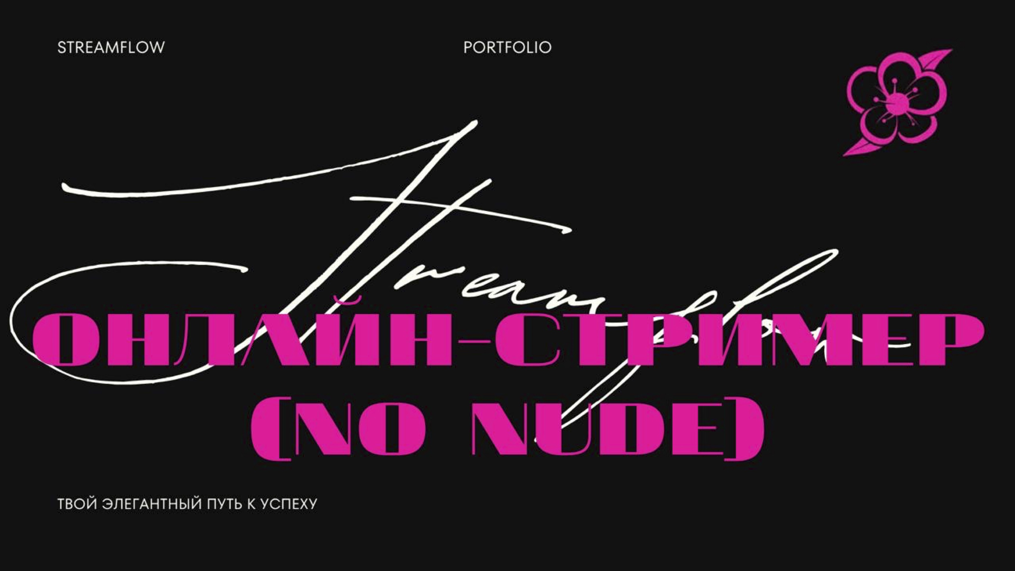 Streamflow portfolio slide 1